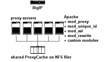 Proxy Server Setup